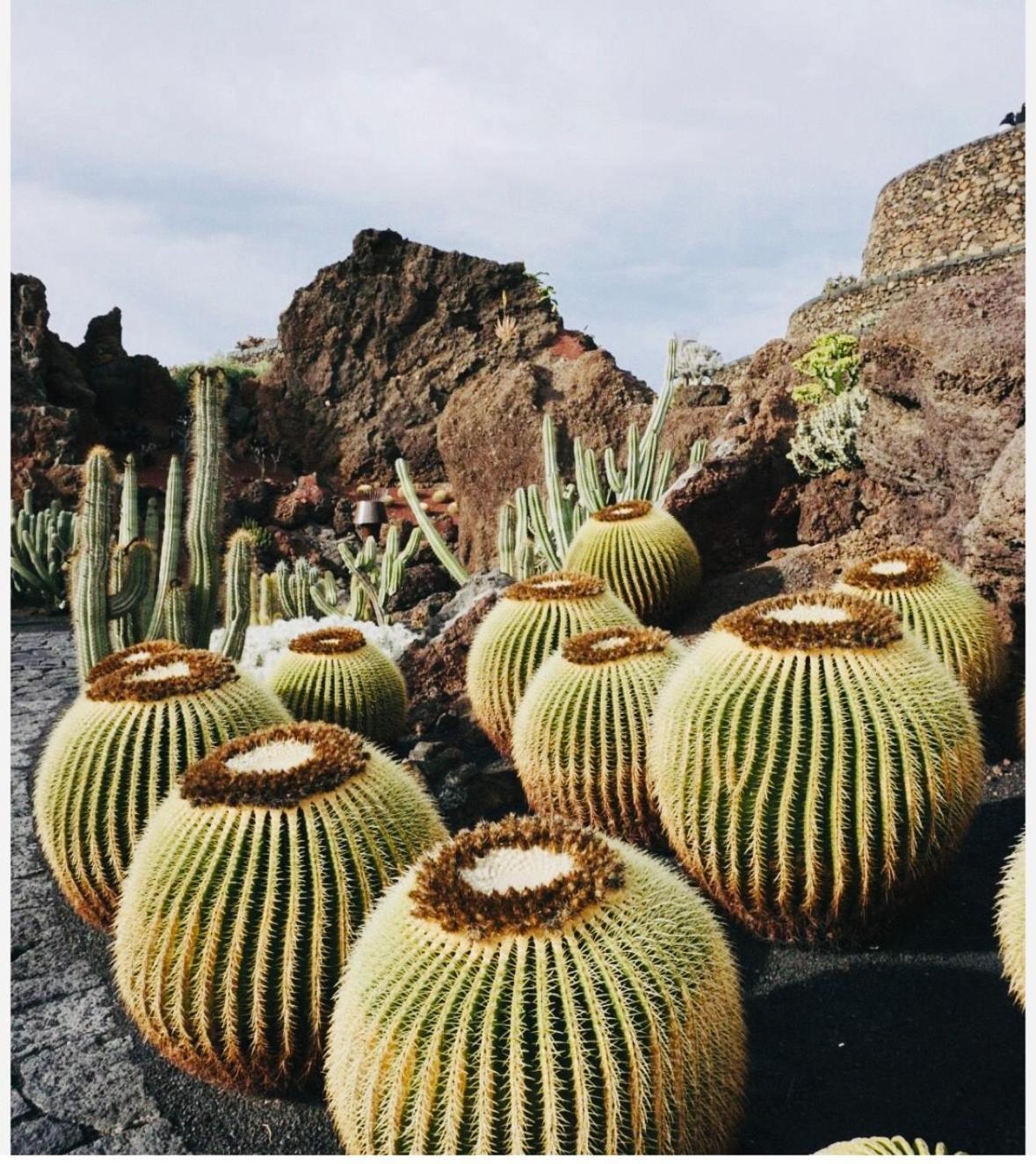 Beach House Costa Teguise Bagian luar foto